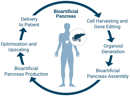 latest research on diabetes, type 1)